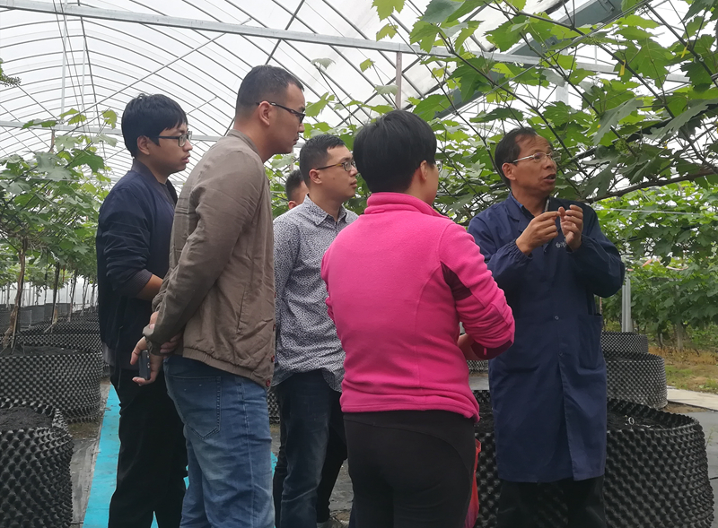 惠多利探索&ldquo;師徒制&rdquo;模式  培養實用型作物專家
