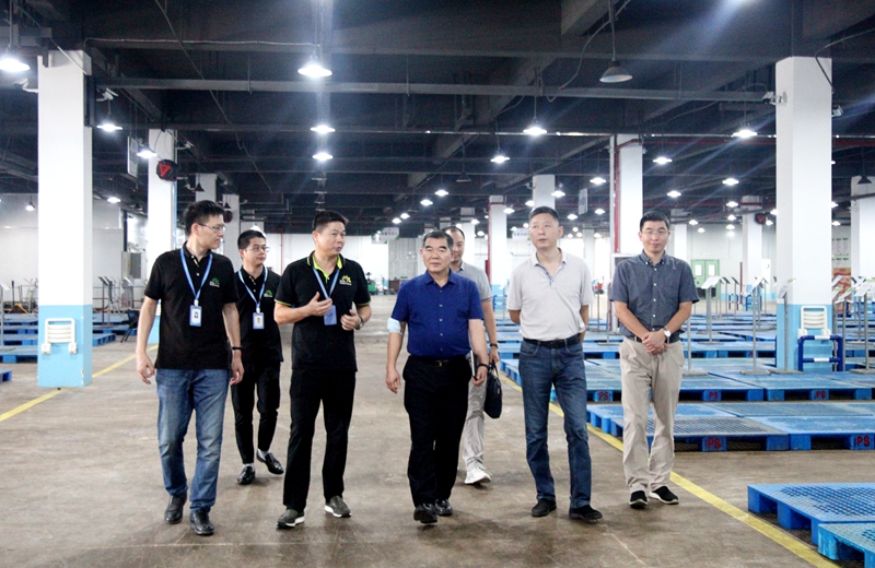 浙江省供銷社副主任張建調研浙農(nóng)茂陽