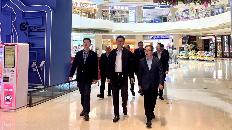 曹勇奇赴華都股份樂清項目調(diào)研