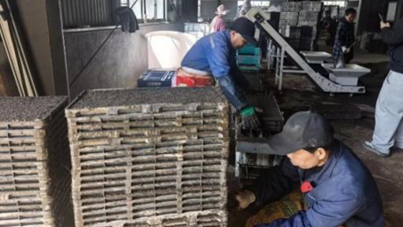 浙農(nóng)科技：緊抓農(nóng)時備春耕 多措并舉促豐收